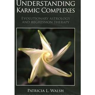 Understanding Karmic Complexes