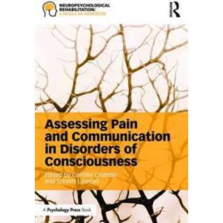 Assessing Pain and Communication in Disorders of Consciousness