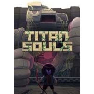 Titan Souls: Digital Special Edition Steam Key GLOBAL