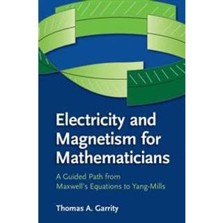 Electricity and Magnetism for Mathematicians