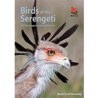 Birds of the Serengeti