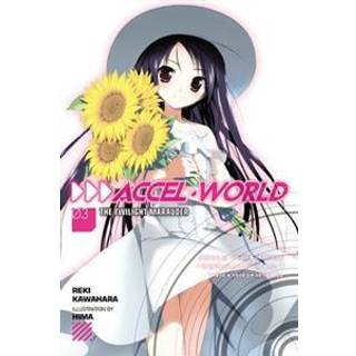 Accel World, Vol. 3 (Novel)