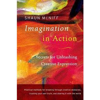 Imagination in Action