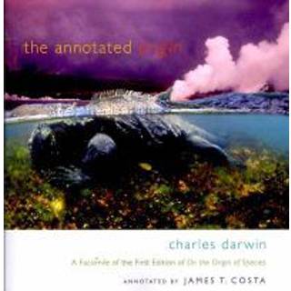 The Annotated Origin