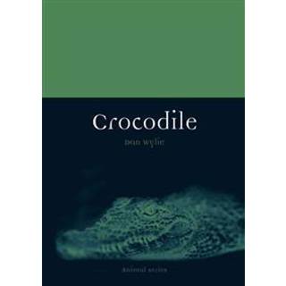 Crocodile