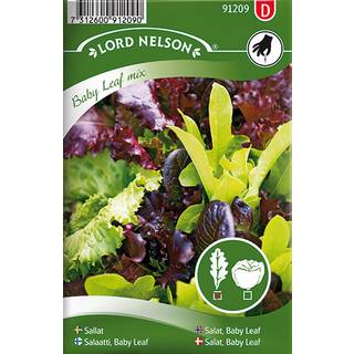 Salat 'Baby Leaf Mix'