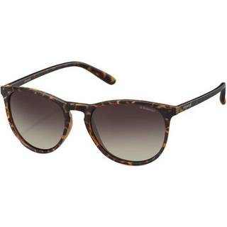 Polaroid Unisex PLD 6003/N/S V08/LA Solbriller Plast Havana Rund Polariseret