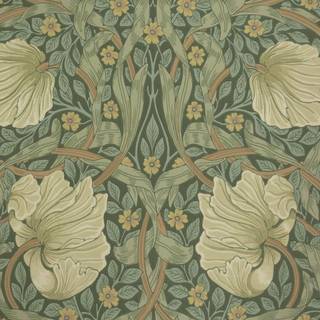 Pimpernel Privet/Slate - 210389