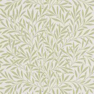 Willow Olive - 210383