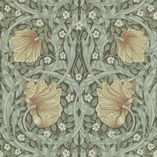 Pimpernel Bayleaf/Manilla - 210388