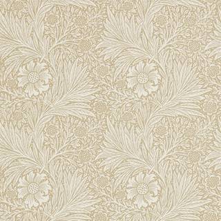 Marigold Manilla - 210372