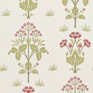 Meadow Sweet Rose/Olive - 210347