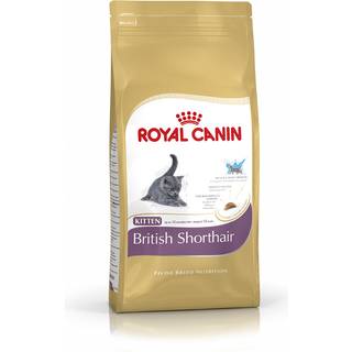 Royal Canin British Shorthair Kitten 400g