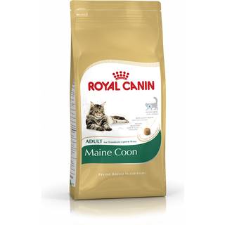 Maine Coon Adult - 400 g