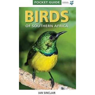 Pocket Guide Birds of Southern Africa