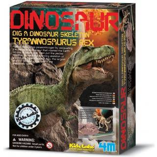 4M Kidz Labs/Dig a T-Rex skeleton