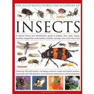 The Illustrated World Encyclopaedia of Insects