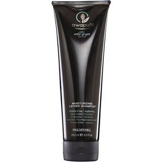 Paul mitchell awapuhi wild ginger repair moisturizing lather shampoo 250ml