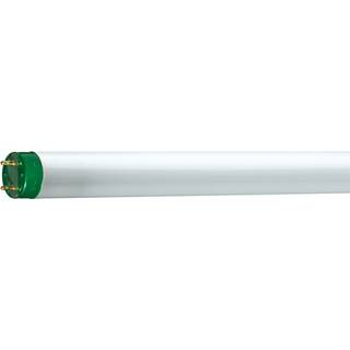 Philips MASTER TL - D ECO 32W - 840 kold hvid | 120cm