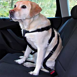 Trixie Car Harness Safety Belt L 70-90cm/25 mm Stomach Circum 70-90cm