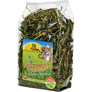 Mælkebøtteurt til gnaver 500 g JR Farm