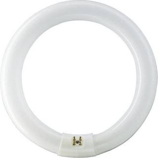 Philips Fluorescerende pære Master TL-E Cirkelformet 22W/840 G10q