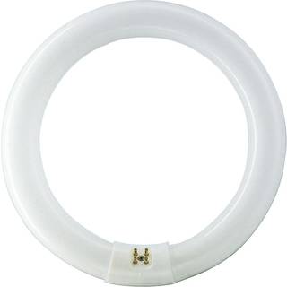 Philips Fluorescerende pære Master TL-E Cirkelformet 32W/840 G10q