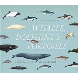 Whales, Dolphins & Porpoises
