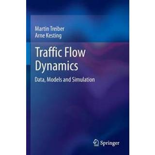 Traffic Flow Dynamics