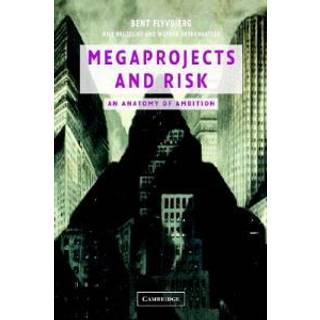Megaprojects and Risk