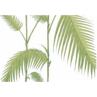 Palm Leaves - Olive Green on White