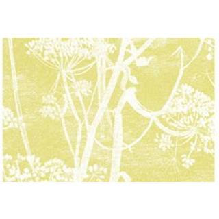 Cow Parsley - Chaurtreuse