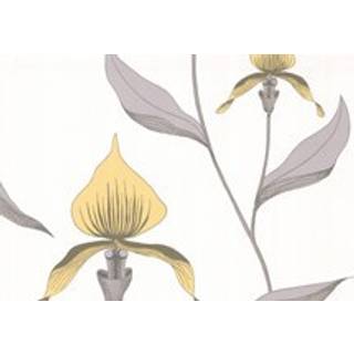 Orchid - Lemon & Heath Grey