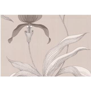 Cole & Son Wallpaper Orchid 95/10058