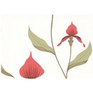 Orchid - Rouge & Olive