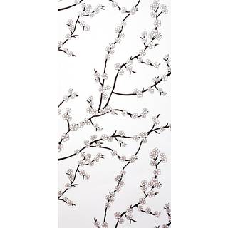 Kyoto White - WP1041