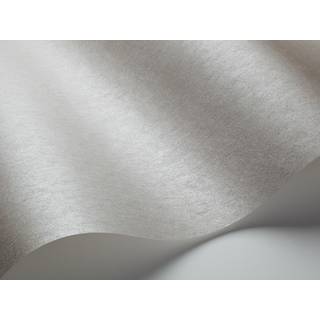 Steel Grey - 4659