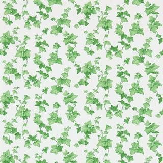 Hedera Green - 214593