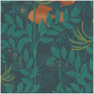 Nautilus