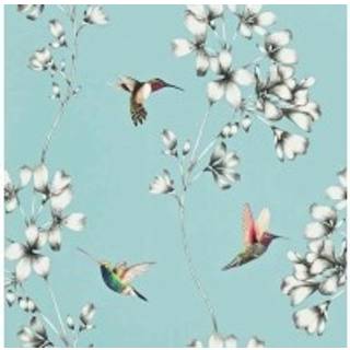 Amazilia Sky - HAMA111060