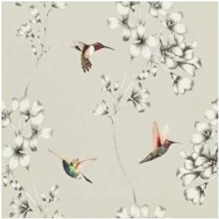 Harlequin Wallpaper Amazilia 111062