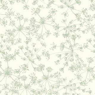 Botanic Garden - 510331