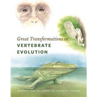 Great Transformations in Vertebrate Evolution