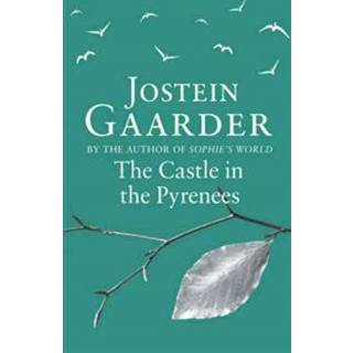 The Castle in the Pyrenees