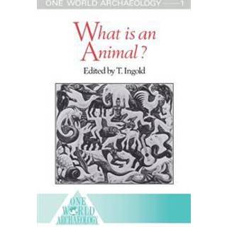 What is an Animal?