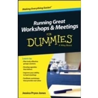 Running Great Meetings and Workshops For Dummies