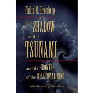 The Shadow of the Tsunami