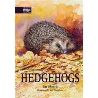 Hedgehogs