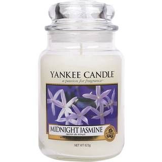 Midnight Jasmine