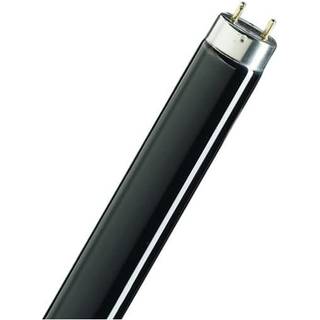 Philips MASTER TL - D 36W - Blacklight Blå | 120cm